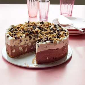 🍰 Do You Actually Prefer Cake or Pie? 🥧 Ice cream cake