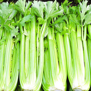 Choose Some Unpopular Food to Try and We’ll Give You an Underrated Show to Watch Celery