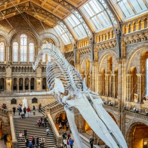 Plan a Trip to London and We’ll Give You a British Delicacy to Try Natural History Museum