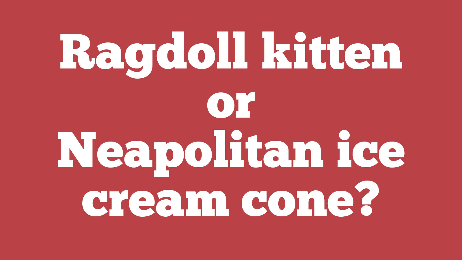 🐱 Choose Between Kittens and Desserts and We’ll Pay You a Compliment 🍰 127