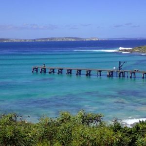 I’m Not Joking, This General Knowledge Quiz Is Actually Really Challenging South Australia