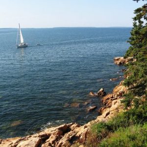 I’m Not Joking, This General Knowledge Quiz Is Actually Really Challenging Maine