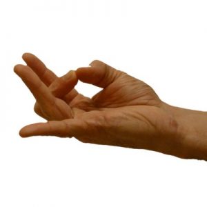 I’m Not Joking, This General Knowledge Quiz Is Actually Really Challenging Fingertip