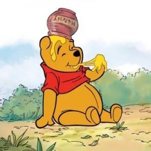 I'm Sorry To Make You Feel Old, But Only People Born Between 1988-1994 Can Pass This Quiz The New Adventures of Winnie the Pooh