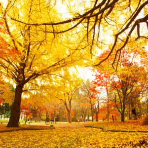 Everyone Has a Comfort Food That Matches Their Soul — Here’s Yours Fall