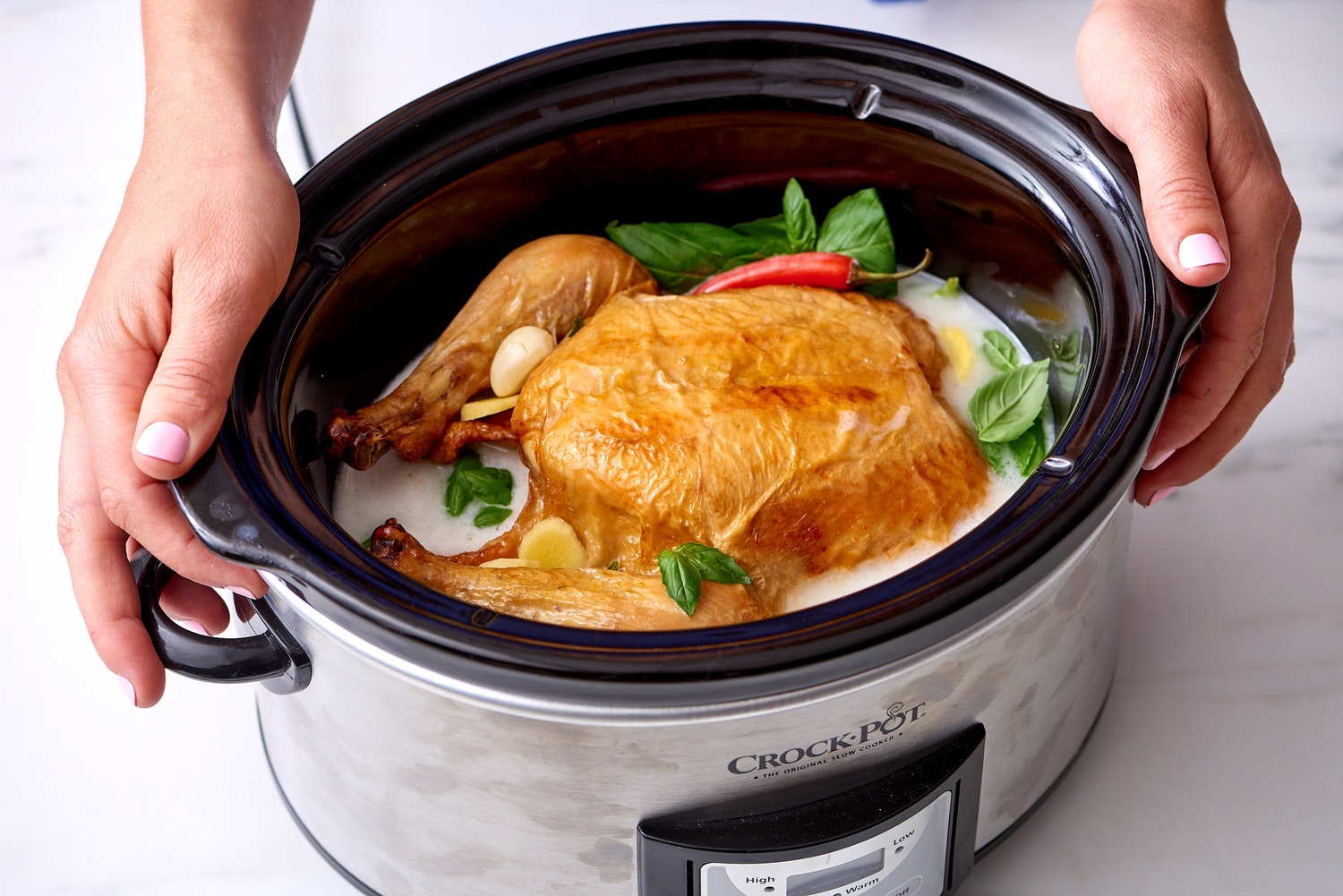 🍲 Make a Cozy Slow-Cooker Dinner and We’ll Give You a Fluffy Dog Breed to Adopt slow cooker meat