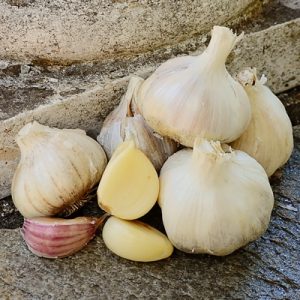 🍲 Make a Cozy Slow-Cooker Dinner and We’ll Give You a Fluffy Dog Breed to Adopt Garlic
