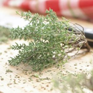 🍲 Make a Cozy Slow-Cooker Dinner and We’ll Give You a Fluffy Dog Breed to Adopt Thyme