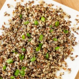 🍲 Make a Cozy Slow-Cooker Dinner and We’ll Give You a Fluffy Dog Breed to Adopt Quinoa