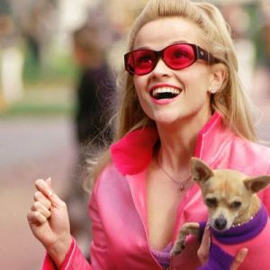 Build Your Fictional Girl Squad and We’ll Give You a Hollywood Chris to Date Elle Woods from Legally Blonde