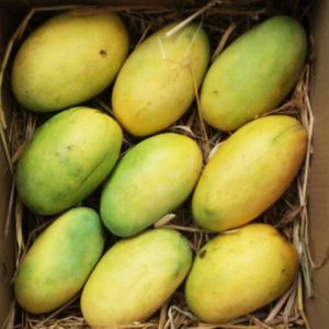 Create Your Own Ice Cream Flavor To Know What People Fi… Quiz Mango
