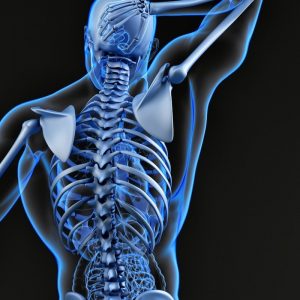 Stop Everything & See If You Can Ace This 24-Question General Knowledge Quiz Skeletal system