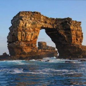 Can You Get A Perfect Score On This Trivia Quiz? Darwin Island
