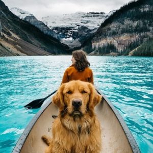 Can You Earn 1 Million Dollars in a Week? Traveling around the world in 80 days with my dog