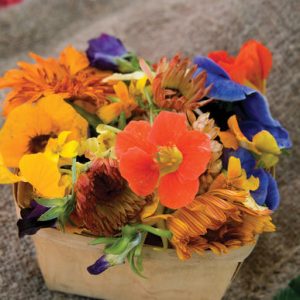 Upgrade Foods & I'll Guess Age, Height, Eye Color, Or G… Quiz Edible flowers