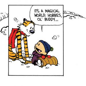 This General Knowledge Quiz Will Stump You Unless You’re Really, REALLY Intelligent Calvin and Hobbes