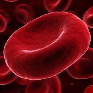 This General Knowledge Quiz Will Stump You Unless You’re Really, REALLY Intelligent A red blood cell