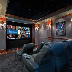🏠 Design the Home of Your Dreams and We’ll Reveal Which Animal You’re Most Like Movie theater