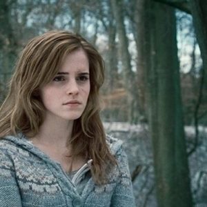 Choose Some Fictional Characters for Your Squad and We’ll Tell You If You’d Survive the End of the World Hermione Granger from Harry Potter