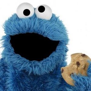 Choose Some Fictional Characters for Your Squad and We’ll Tell You If You’d Survive the End of the World Cookie Monster from Sesame Street