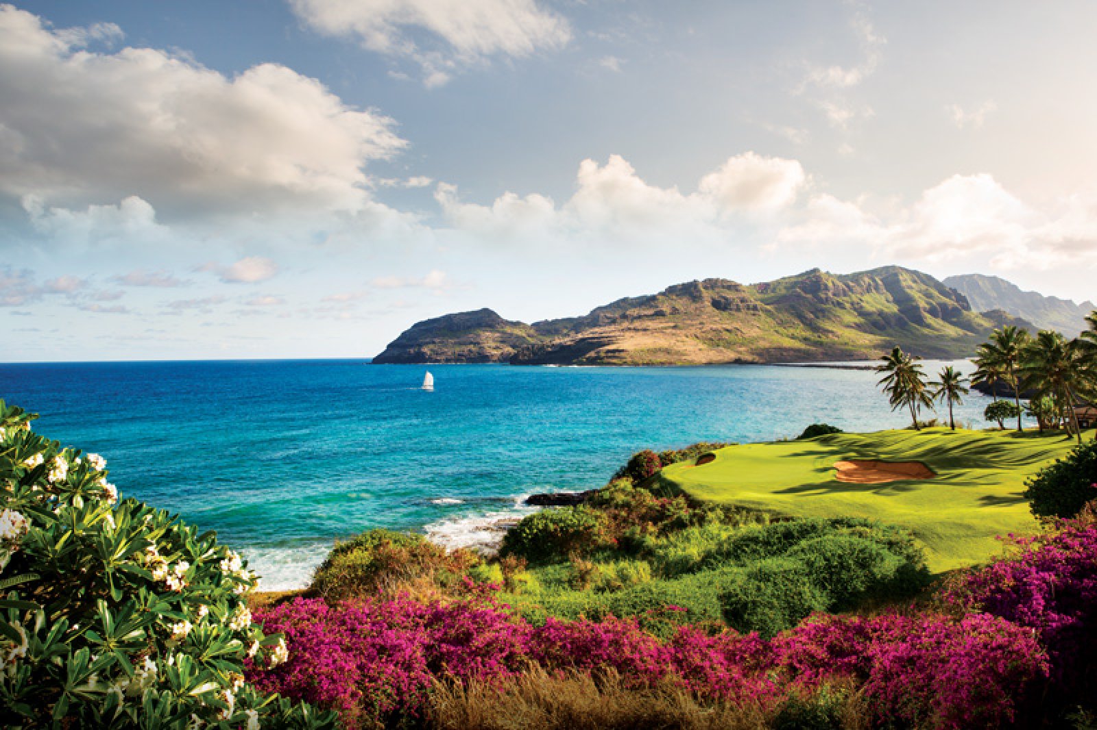 You got: Hawaii! Which US State Do You Truly Belong In?