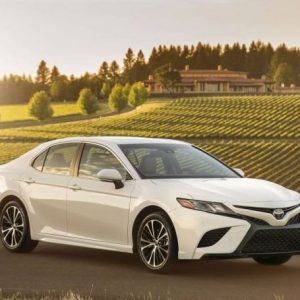 Everyone Has a US State They Truly Belong in — Here’s Yours Toyota Camry