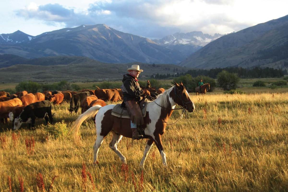 These Trick Questions Will Stump You Unless You’re Really, REALLY Intelligent Cowboy on horse