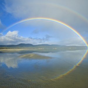 Guess The Movie Titles Quiz Rainbow