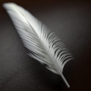 These Trick Questions Will Stump You Unless You’re Really, REALLY Intelligent Feather