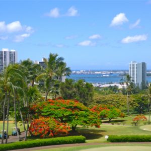 Not Even Masters of General Knowledge Can Get a Perfect Score on This Quiz. Can You? Pearl City