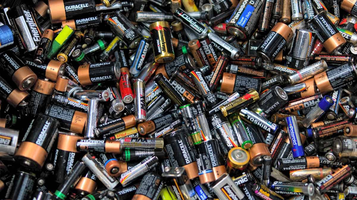 No 1 Has Got Perfect Score on This General Knowledge Quiz. Will You? batteries