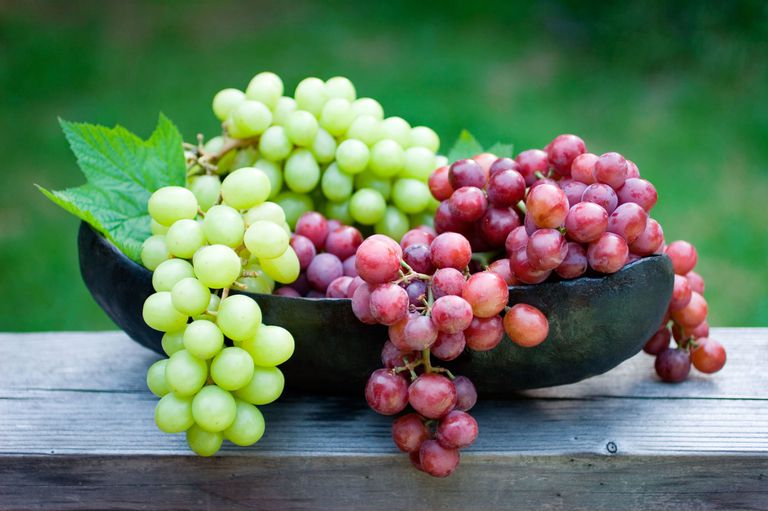 I’m Extremely Curious If You’d Rather 🥧 Eat or 🍹 Drink These Foods Grapes