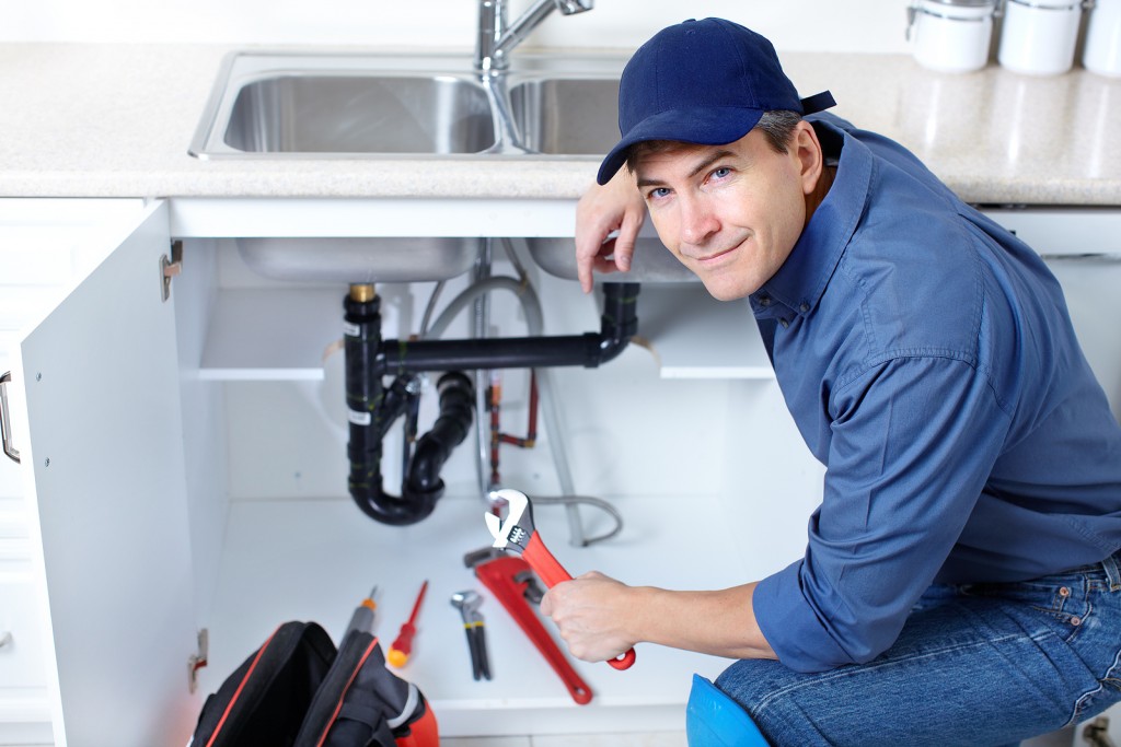 Choose a Famous Person for Different Scenarios and We’ll Determine How Street Smart You Are Plumber