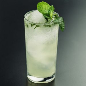 Guess The Food Quiz Mojito