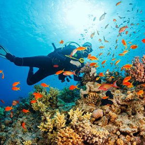 What Should Your Name Really Be? Quiz Scuba diving