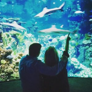 What Should Your Name Really Be? Quiz Going to an aquarium