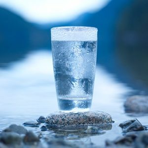 What Food Am I? Quiz Water