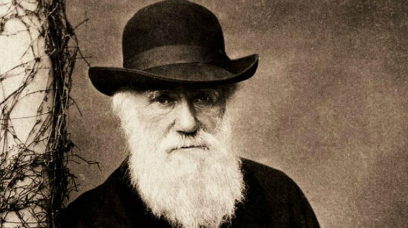 If You Can Ace This Quiz, You’re a Master of General Knowledge Darwin