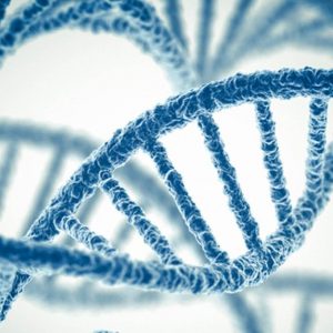 This Mixed Knowledge Quiz Increases In Difficulty With Every Question Genetic