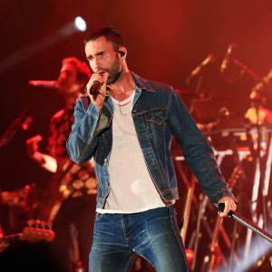 Are You A Black Cat Or A Golden Retriever? Quiz Maroon 5