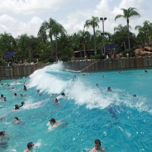 Spend a Day in Disney World and We’ll Reveal Which Disney Character Matches Your Personality Typhoon Lagoon Surf Pool
