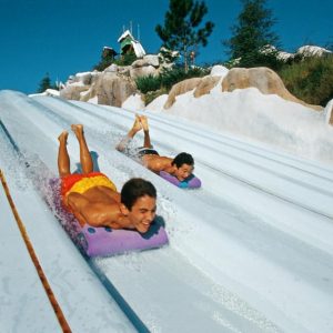 Spend a Day in Disney World and We’ll Reveal Which Disney Character Matches Your Personality Toboggan Racers
