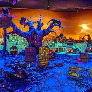 Which Disney Character Are You? Quiz Frontierland Shootin\' Arcade