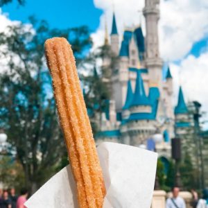 Spend a Day in Disney World and We’ll Reveal Which Disney Character Matches Your Personality Churro
