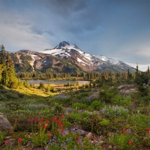 Do You Have the Smarts to Pass This US States Quiz? Oregon