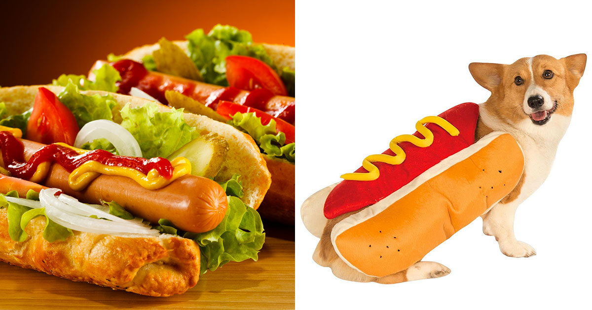 Hotdog dog outlet breed