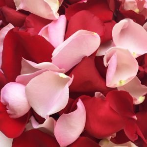 Can We Guess Your Age By This 5 Senses Test? Flower petals