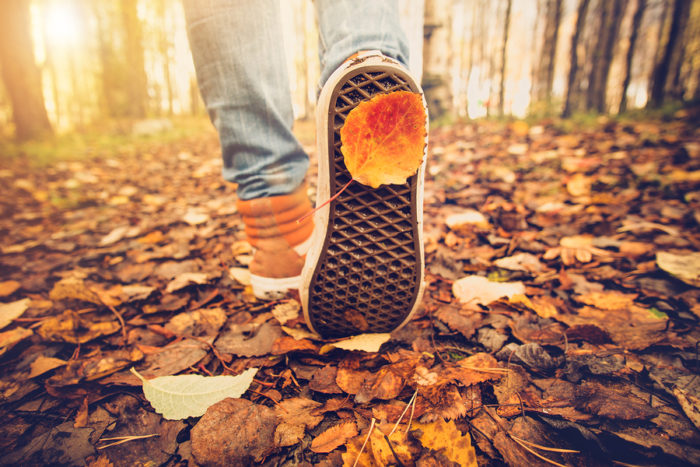 Feet sneakers walking on fall leaves Outdoor