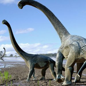 Is Your Vocabulary Better Than The Average Person? Quiz A generic dinosaur