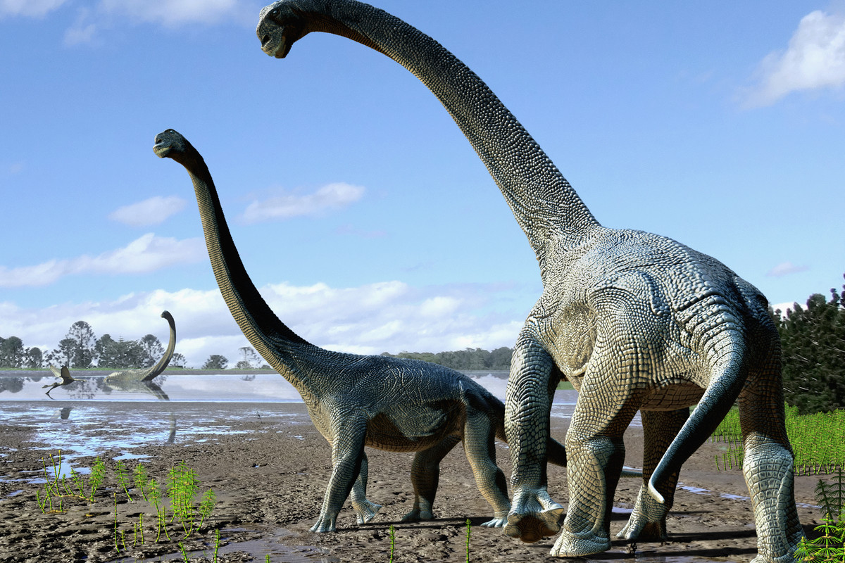This Science “True or False” Quiz Will Reveal If You Aced or Flunked Out of School dinosaurs